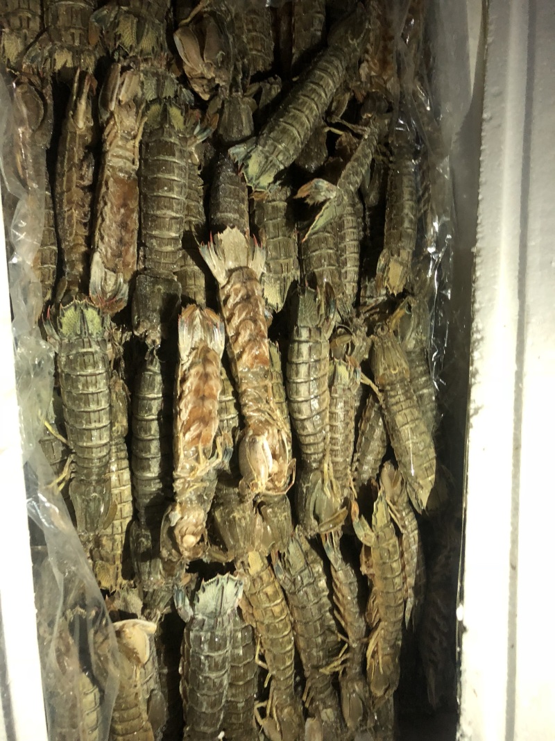 生冻皮皮虾单冻个头大保证肥