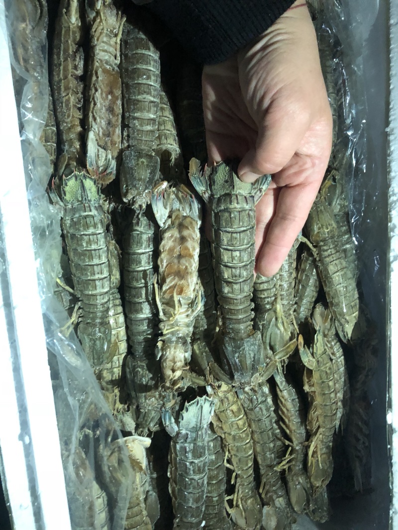 生冻皮皮虾单冻个头大保证肥