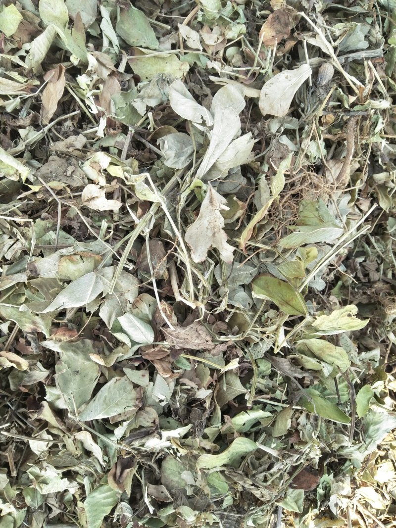 花生秧牛羊草料，长年大量供应一级，二级，三级草。