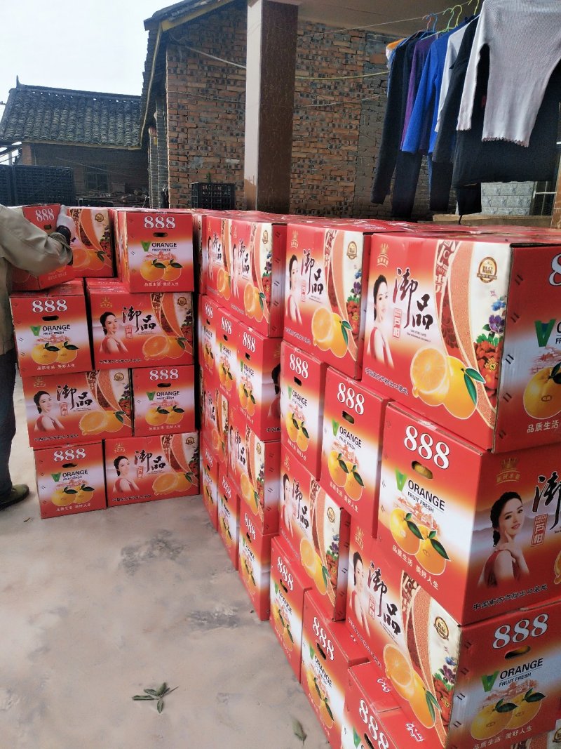 碰柑批发零售均可，支持一件代发