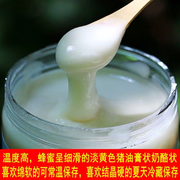 东北黑蜂雪蜜北大荒蜂蜜口感纯正大量现货全国发货