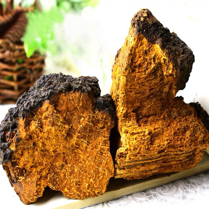 【桦树茸】糖尿病克星，货源充足，有实体店，1公斤包邮