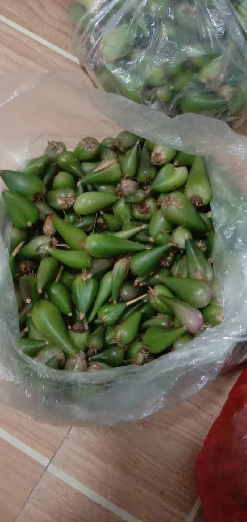 野山冰球子