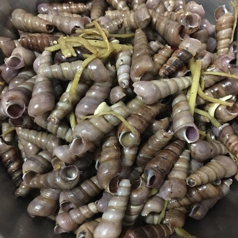 锥螺，钉螺饭店，烧烤店专用，去尾不去尾都有货，量大详谈