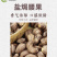 盐焗腰果厂地直发珍珠果罐装200g