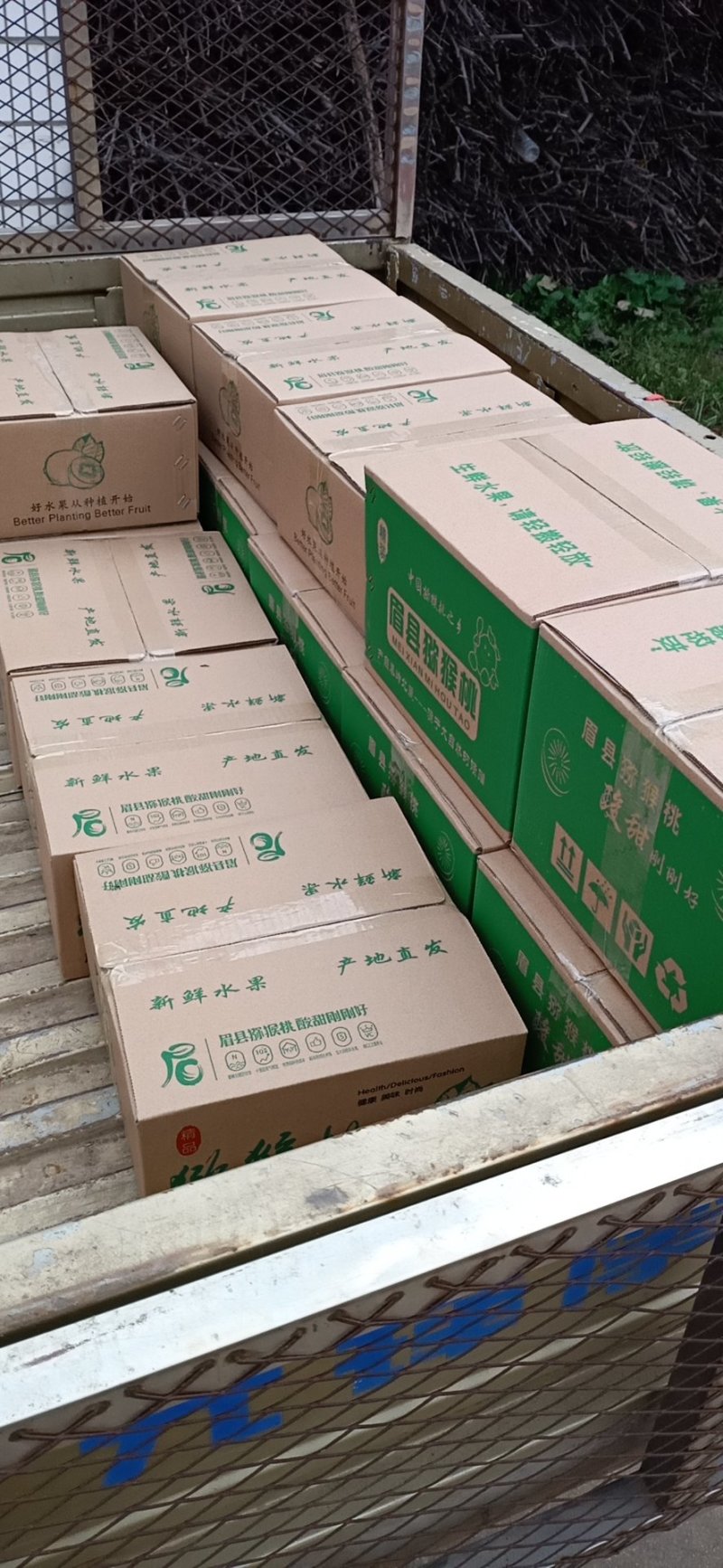 徐香猕猴桃(六斤装)味道酸甜刚刚好。老少皆宜