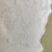 四季矮生苦草，龙虾螃蟹专用水草