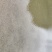 四季矮生苦草，龙虾螃蟹专用水草
