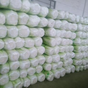 北京三号白菜大量供应，扁包，立包，报纸，冷库储存预定
