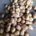 微七，沃土，荷兰，土豆精品1~3两，2-4/1-2两