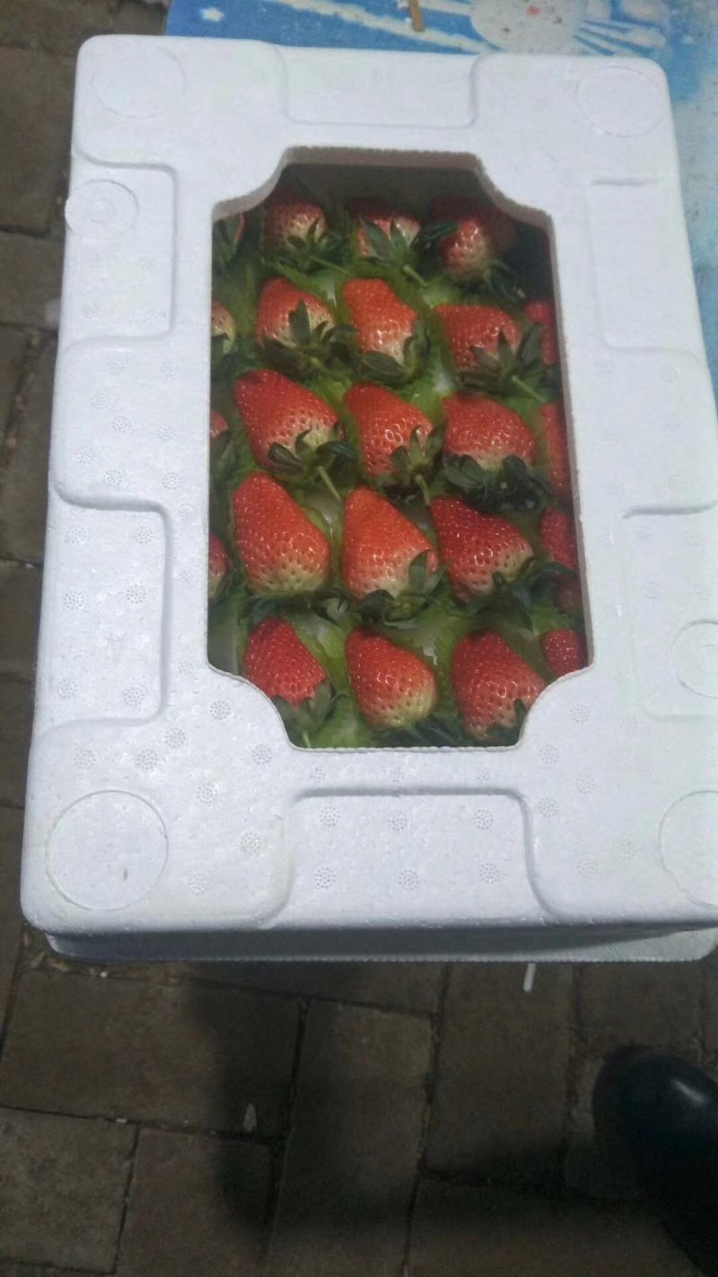 草莓泡沫箱