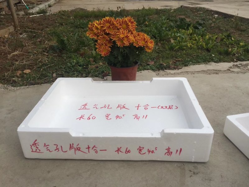 草莓泡沫箱