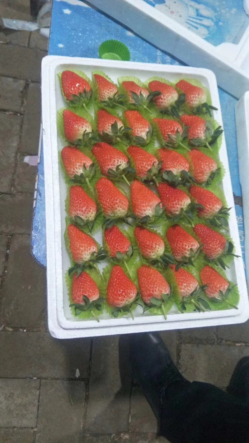 草莓泡沫箱