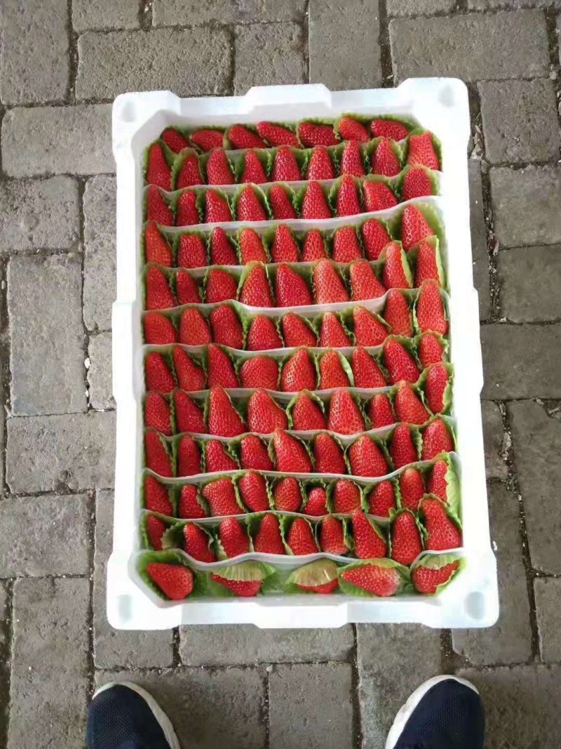 草莓泡沫箱