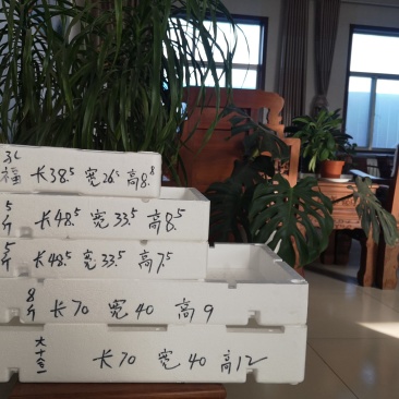 草莓