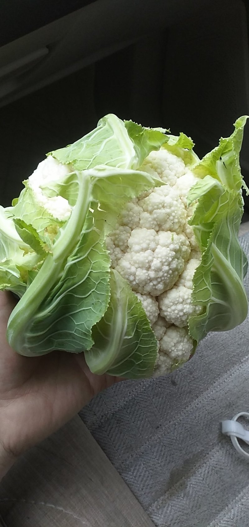 （精品）菜花，花菜产地，海量上市，常年长期供货，诚信为本