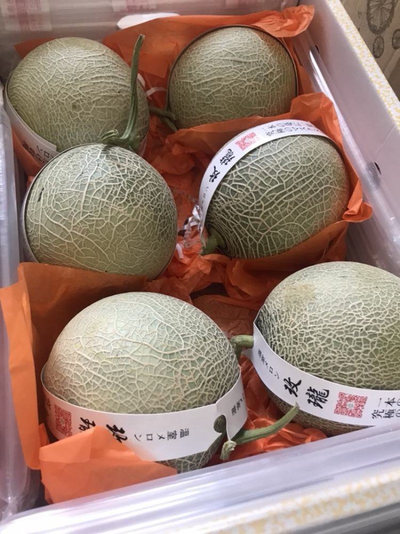鲁厚甜库拉甜瓜玫珑蜜瓜各种网纹瓜现摘现发产地