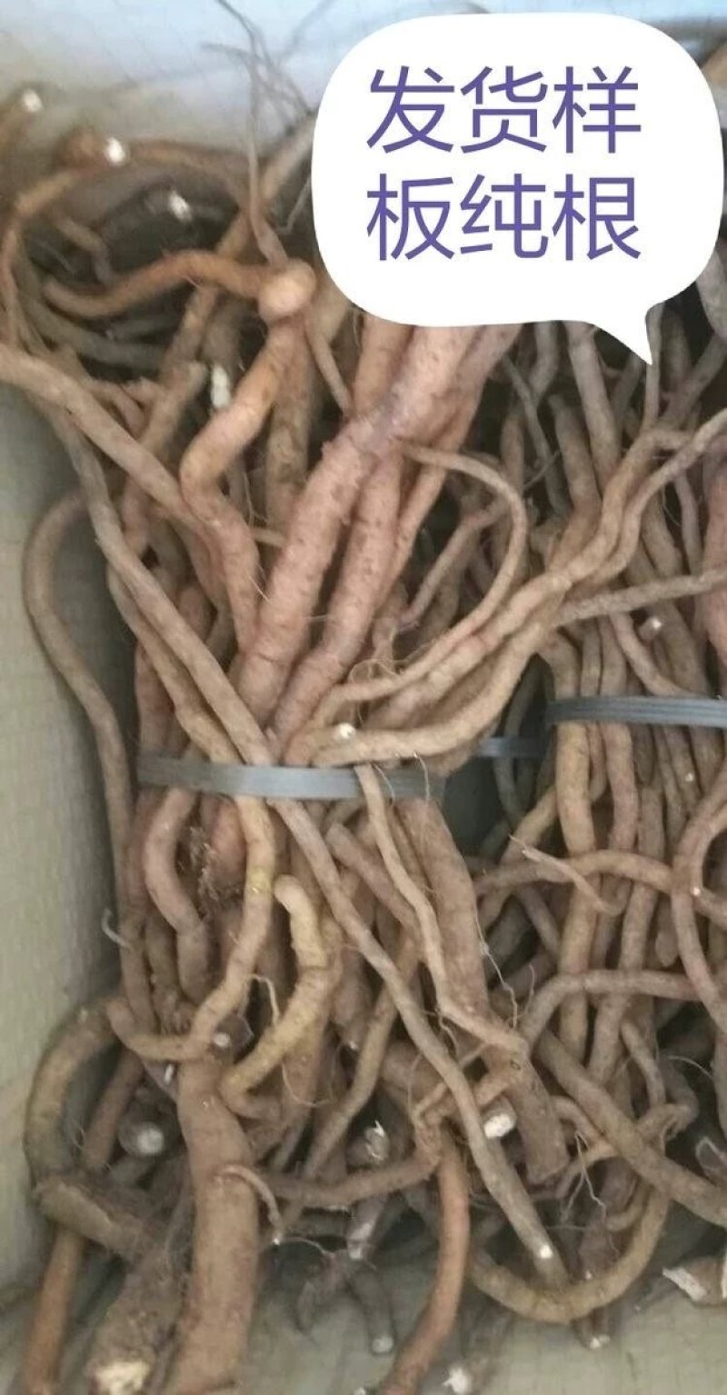 红花丹，质优价实，品质保证，药典标准，地道良药，产地直供