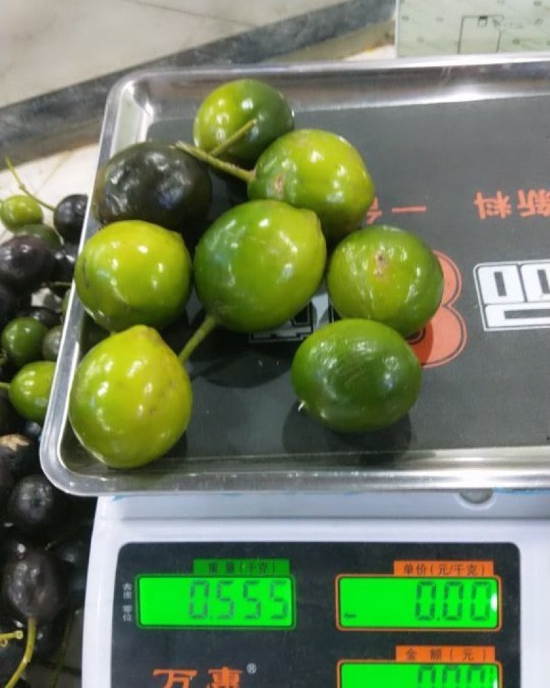 纯野生屈头鸡没化肥没农药