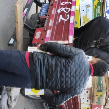 磨盘柿子，正宗粘汤磨盘柿，精品大量现货，又是一个丰收年！