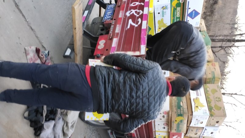 磨盘柿子，正宗粘汤磨盘柿，精品大量现货，又是一个丰收年！