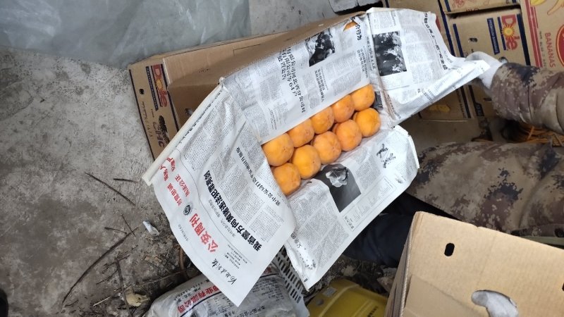 磨盘柿子，正宗粘汤磨盘柿，精品大量现货，又是一个丰收年！