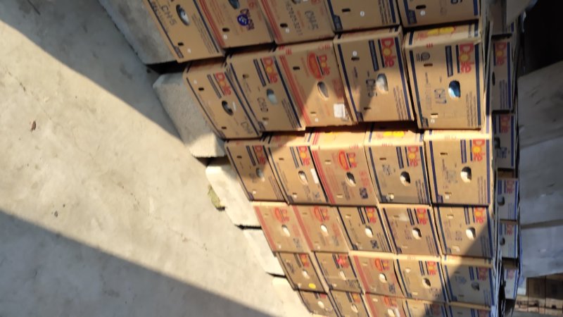 磨盘柿子，正宗粘汤磨盘柿，精品大量现货，又是一个丰收年！
