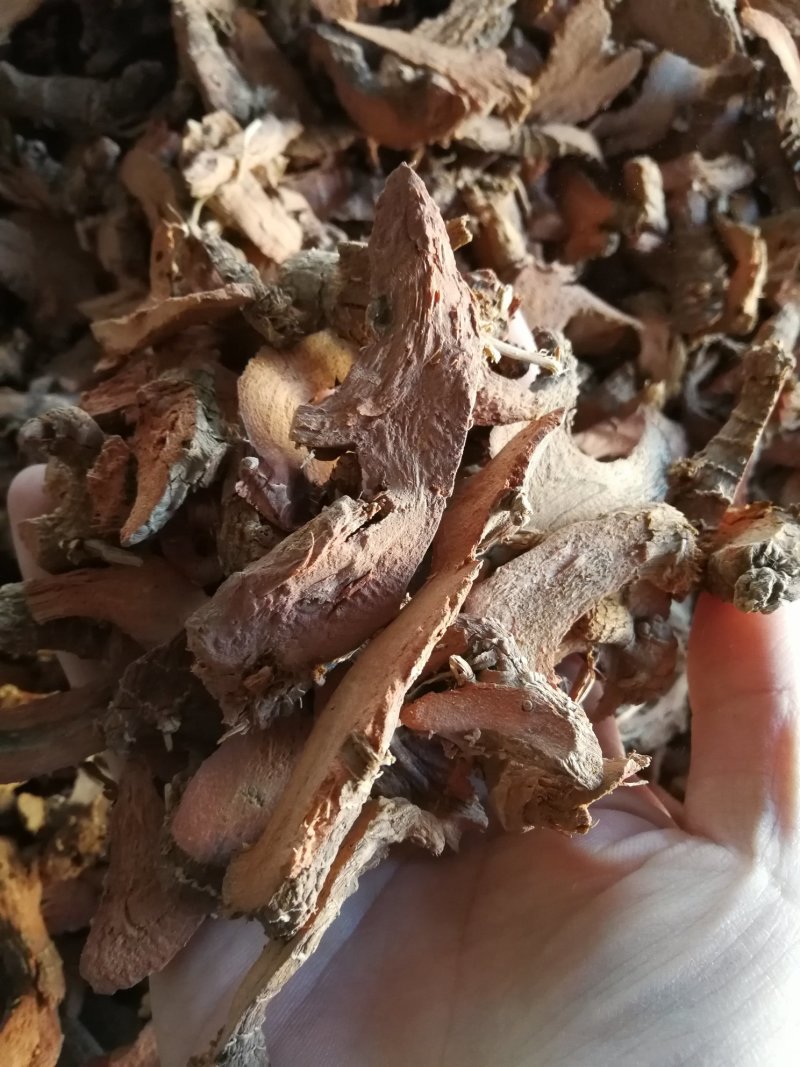 小良姜小良姜片小良姜个良姜高良姜