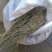 苦竹叶千余品种供应承接订单