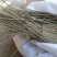 苦竹叶千余品种供应承接订单
