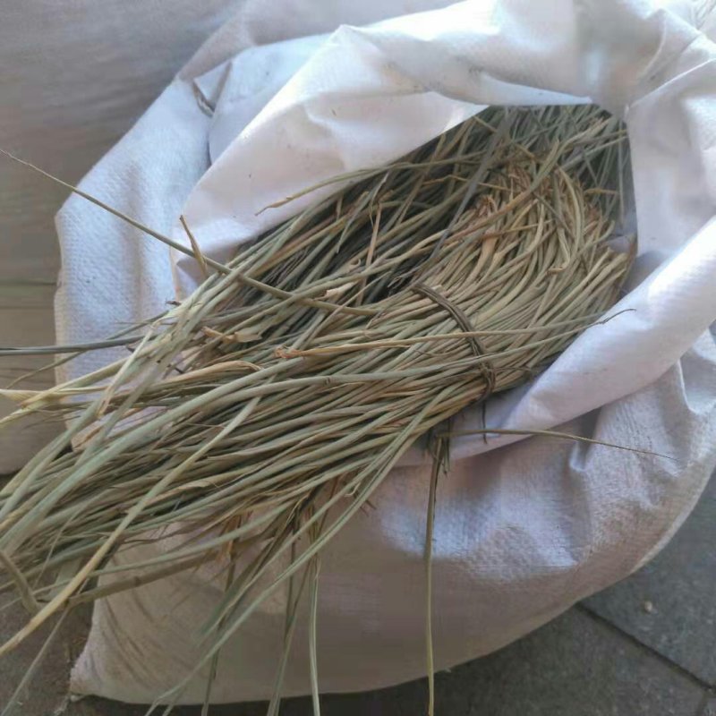 苦竹叶千余品种供应承接订单