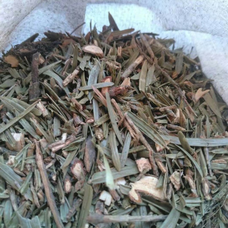 三尖杉千余品种供应承接订单