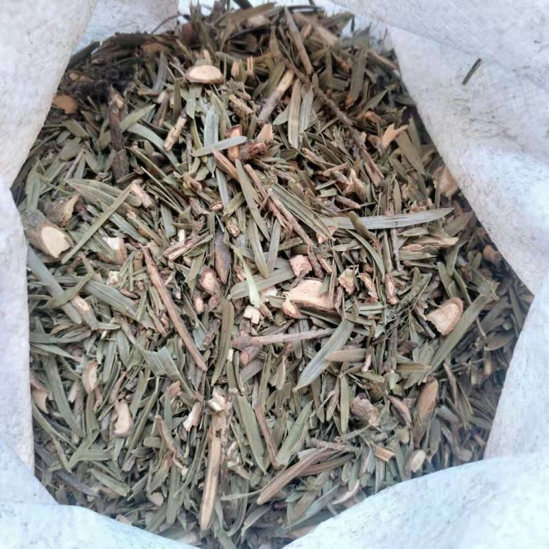 三尖杉千余品种供应承接订单
