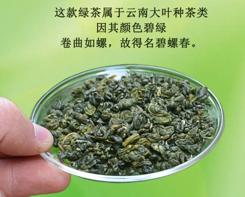 绿茶云南绿茶碧螺春木桶装