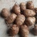 沂蒙奶油毛芋头3厘米以上，新鲜出炉，量大从优