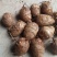 沂蒙奶油毛芋头3厘米以上，新鲜出炉，量大从优