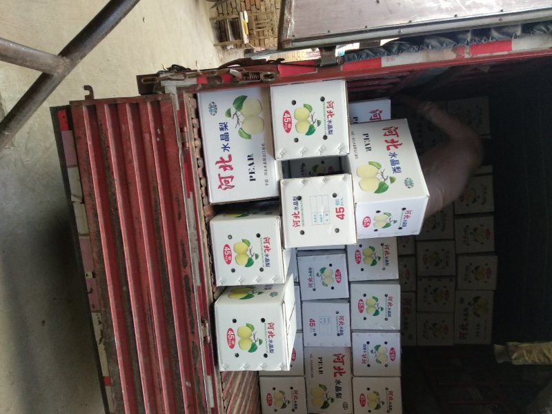 鸭梨，价格便宜，入口酥甜，汁多含糖量高。