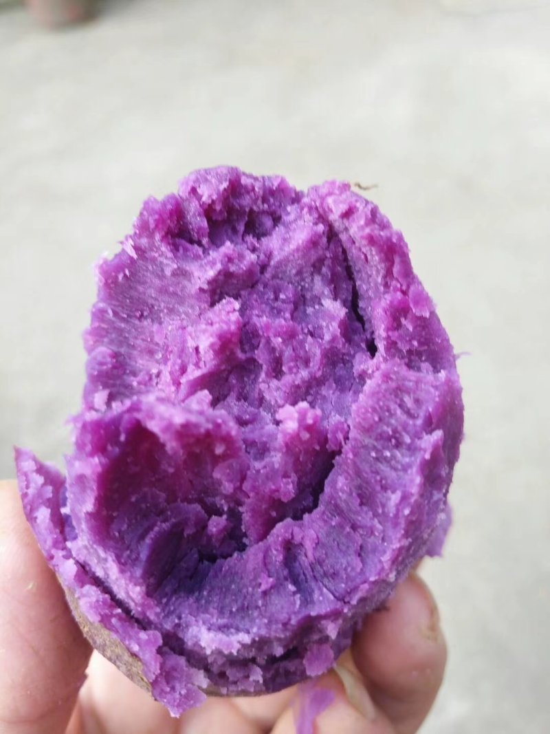 紫薯3两以上紫罗兰紫薯紫心，精品手选货