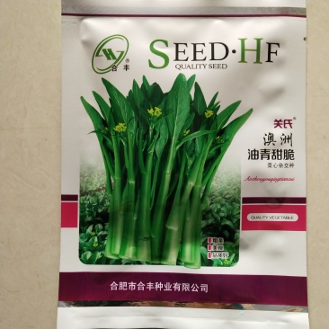 菜心种子，奥洲油青脆绿菜苔种子杂交品种种子