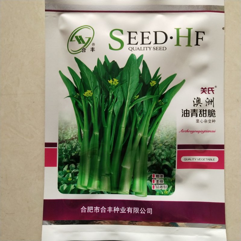 菜心种子，奥洲油青脆绿菜苔种子杂交品种种子