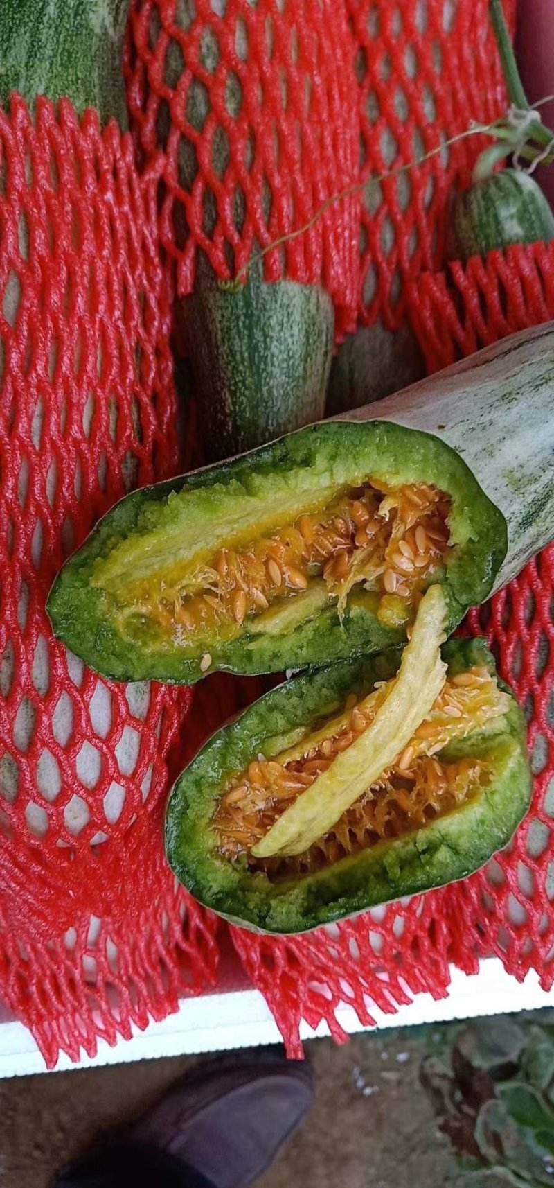 羊角蜜甜瓜，脆甜，保证价格真实，无任何费用