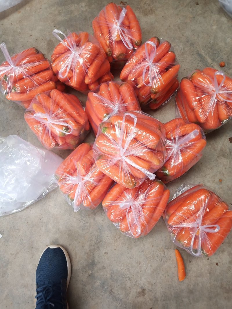 萧县三红胡萝卜，精品中条，小条，大头，淮海经济区种植基地