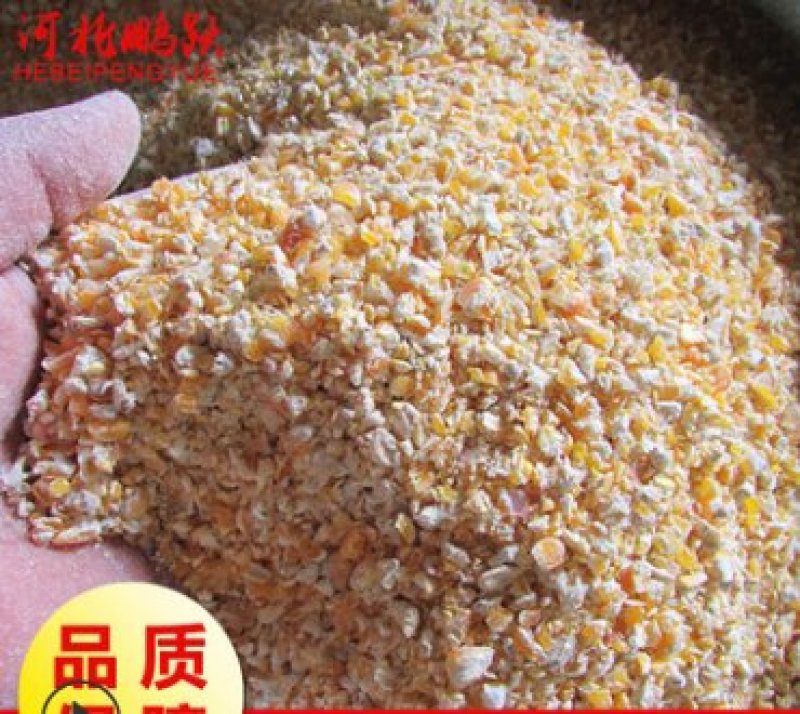 现货直发饲料级含尘低玉米糁95成粮鸡鸭鹅喂养禽类饲料碎玉