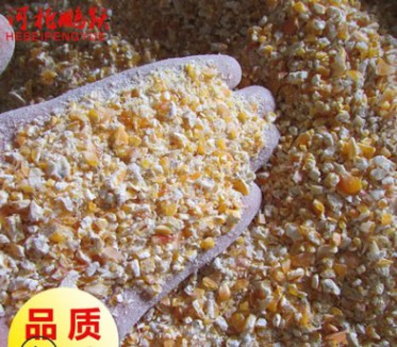 现货直发饲料级含尘低玉米糁95成粮鸡鸭鹅喂养禽类饲料碎玉