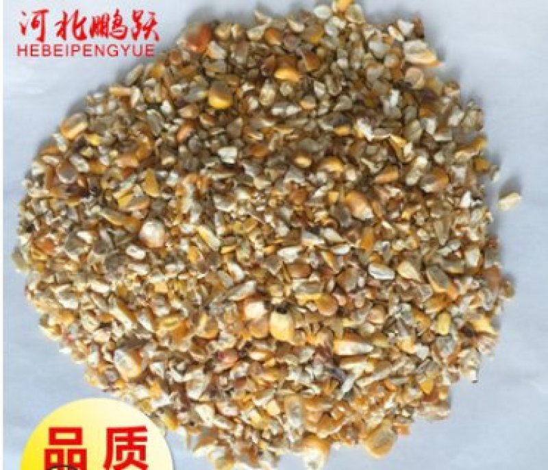 现货直发饲料级含尘低玉米糁95成粮鸡鸭鹅喂养禽类饲料碎玉