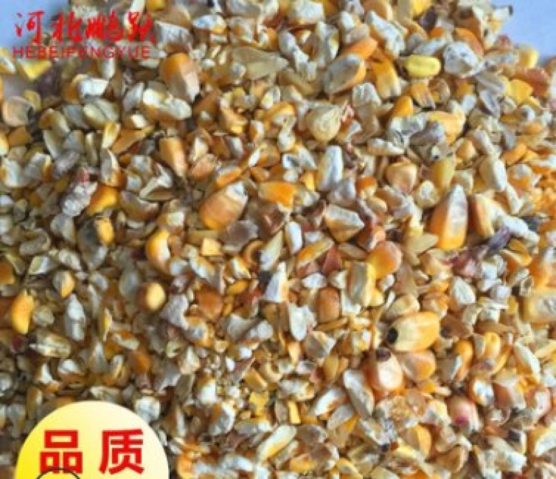 现货直发饲料级含尘低玉米糁95成粮鸡鸭鹅喂养禽类饲料碎玉