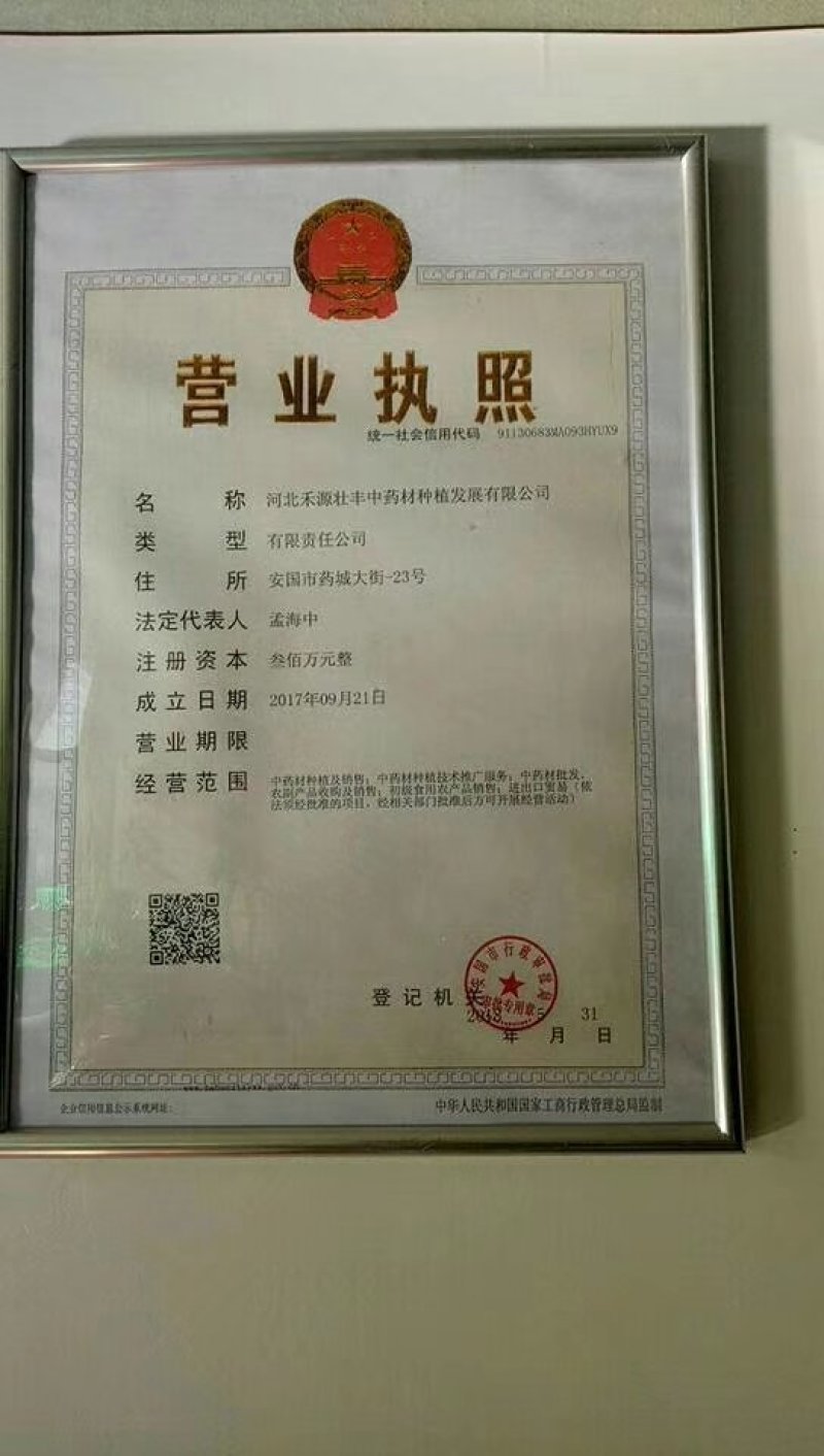 优质半夏种苗，自己基地生产，可视频看货，可寄样品