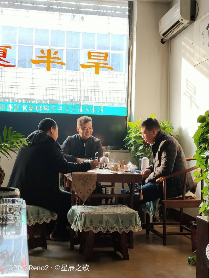 优质半夏种苗，自己基地生产，可视频看货，可寄样品