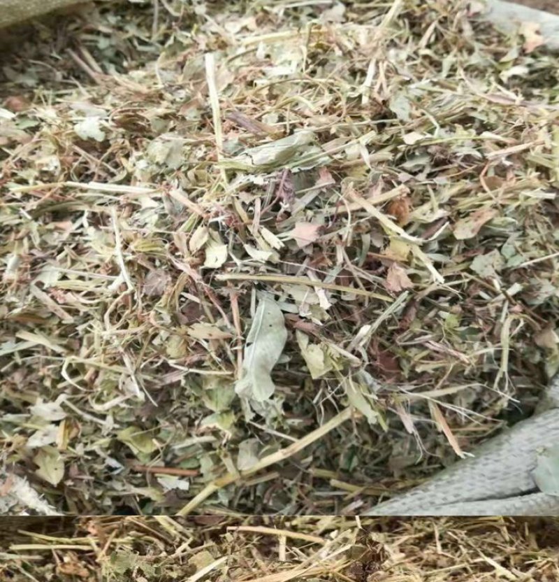 厂家直销牛羊畜牧草饲料，优质谷草，常年供应