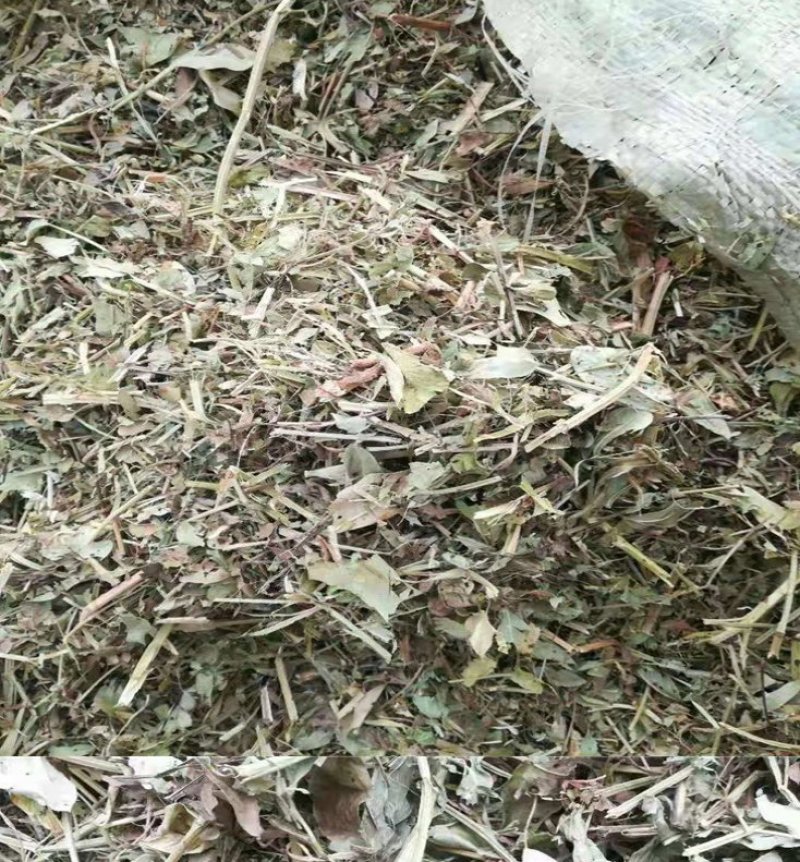 厂家直销牛羊畜牧草饲料，优质谷草，常年供应